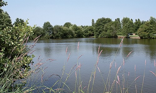 Les étangs du Moulin