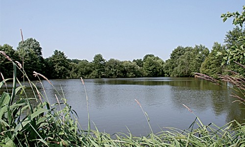 Les étangs du Moulin