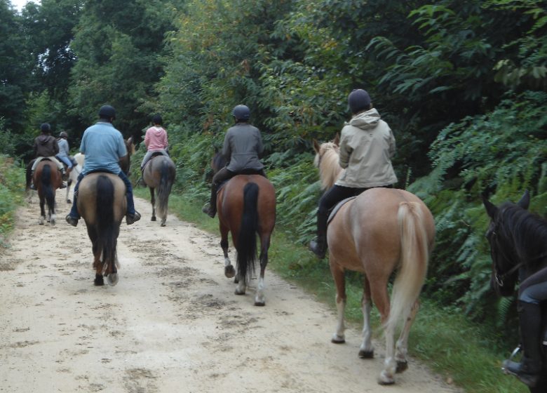 Le Retour aux Sources Horse riding school